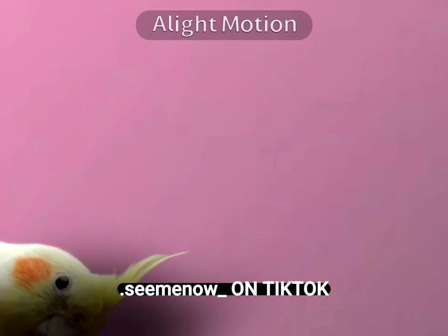 @Fındık🐶🐾