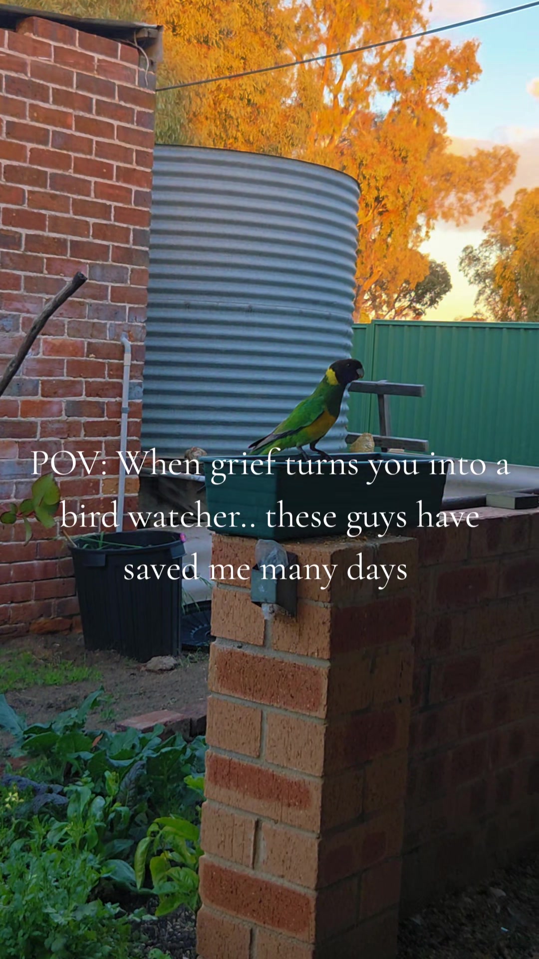 @The Maid Of Graves