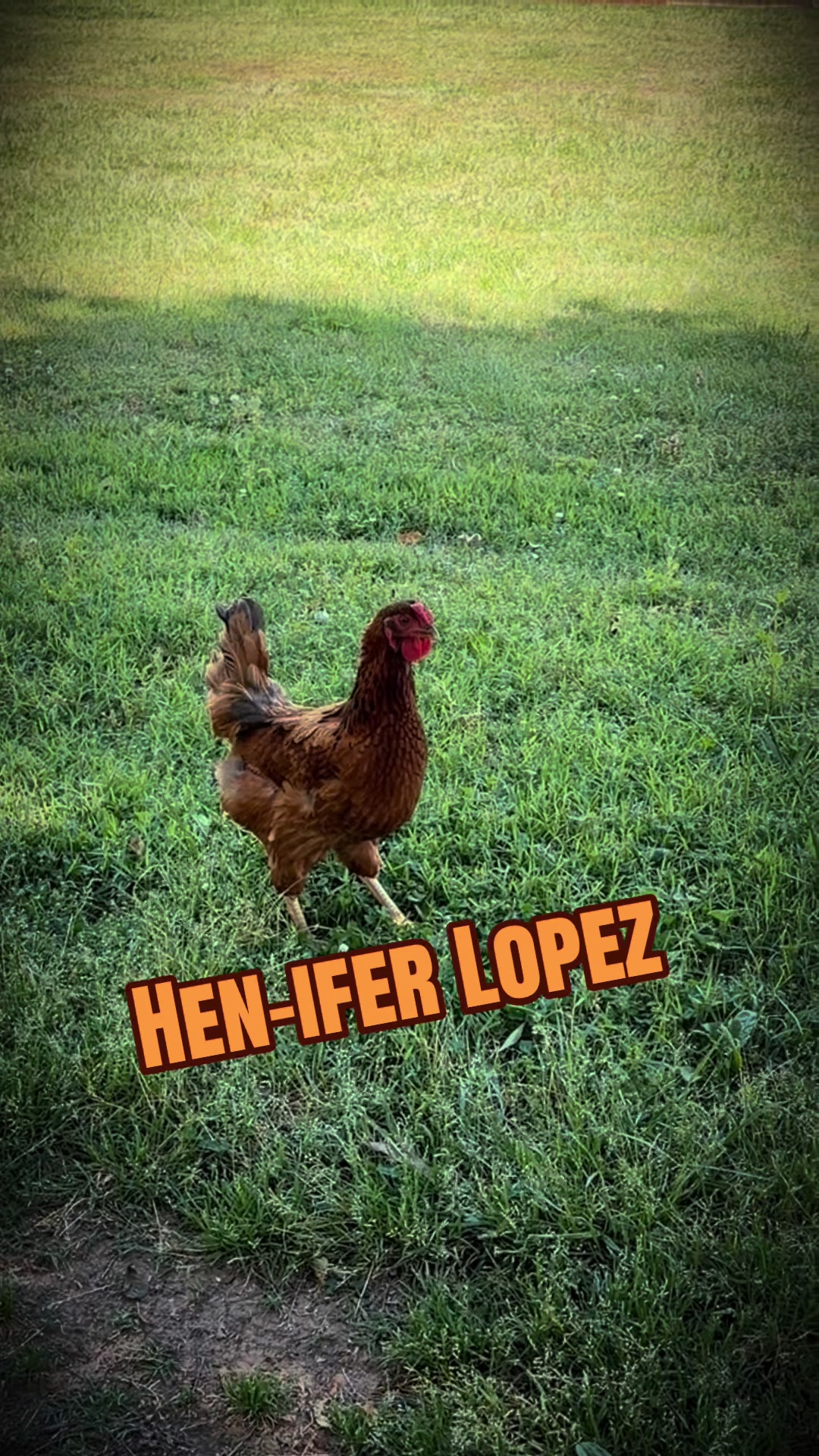 @Eggrollio