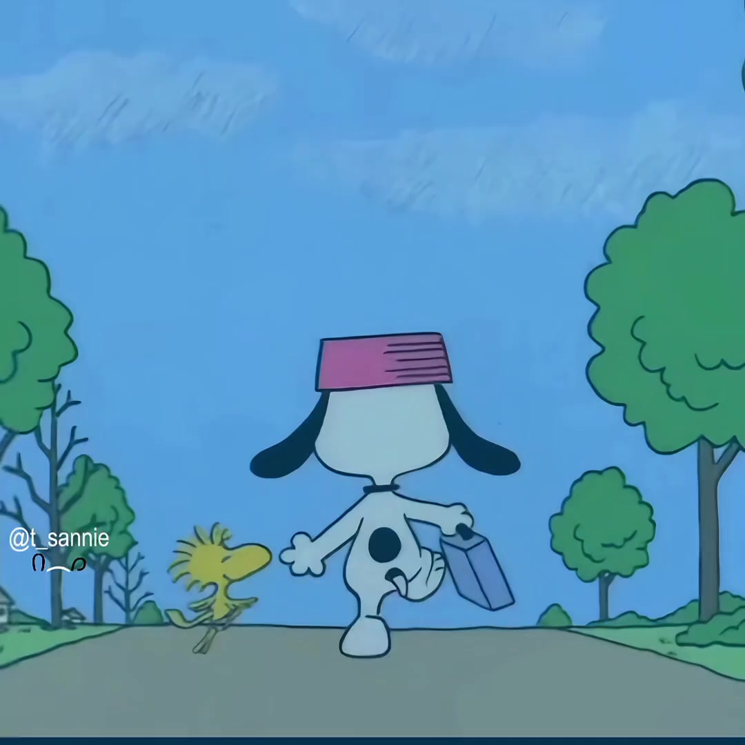 @thvsnoopy_𝜗ৎ