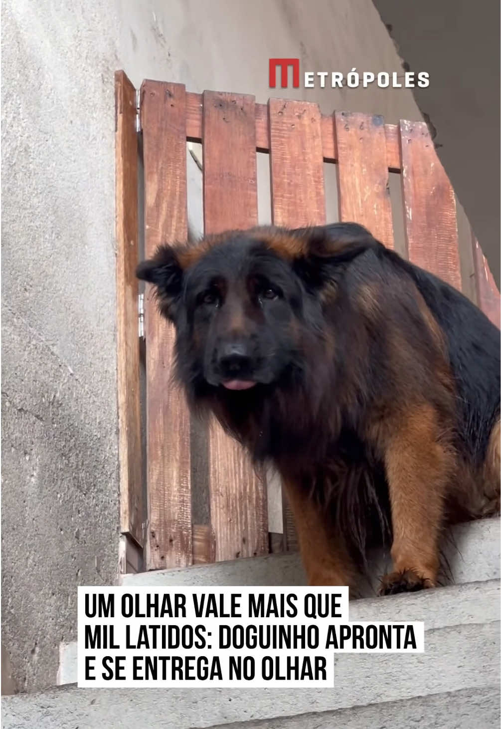 @Metrópoles Oficial