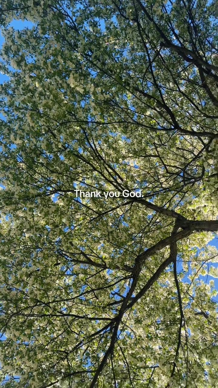 @Nikki Babe