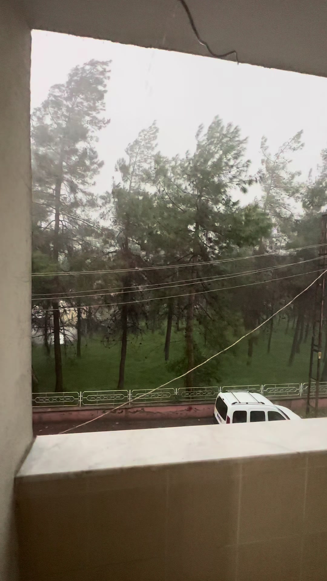 @𝗠.𝗬