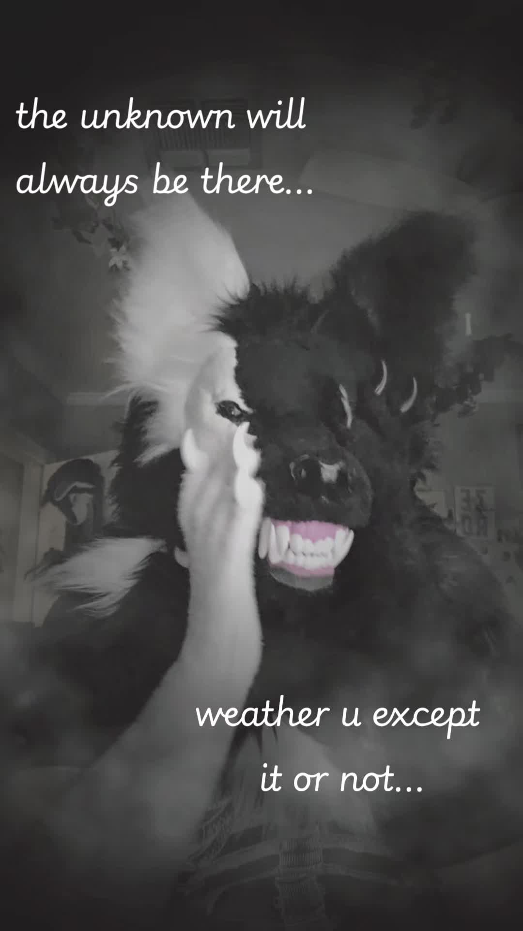 @_+Vo!d+_