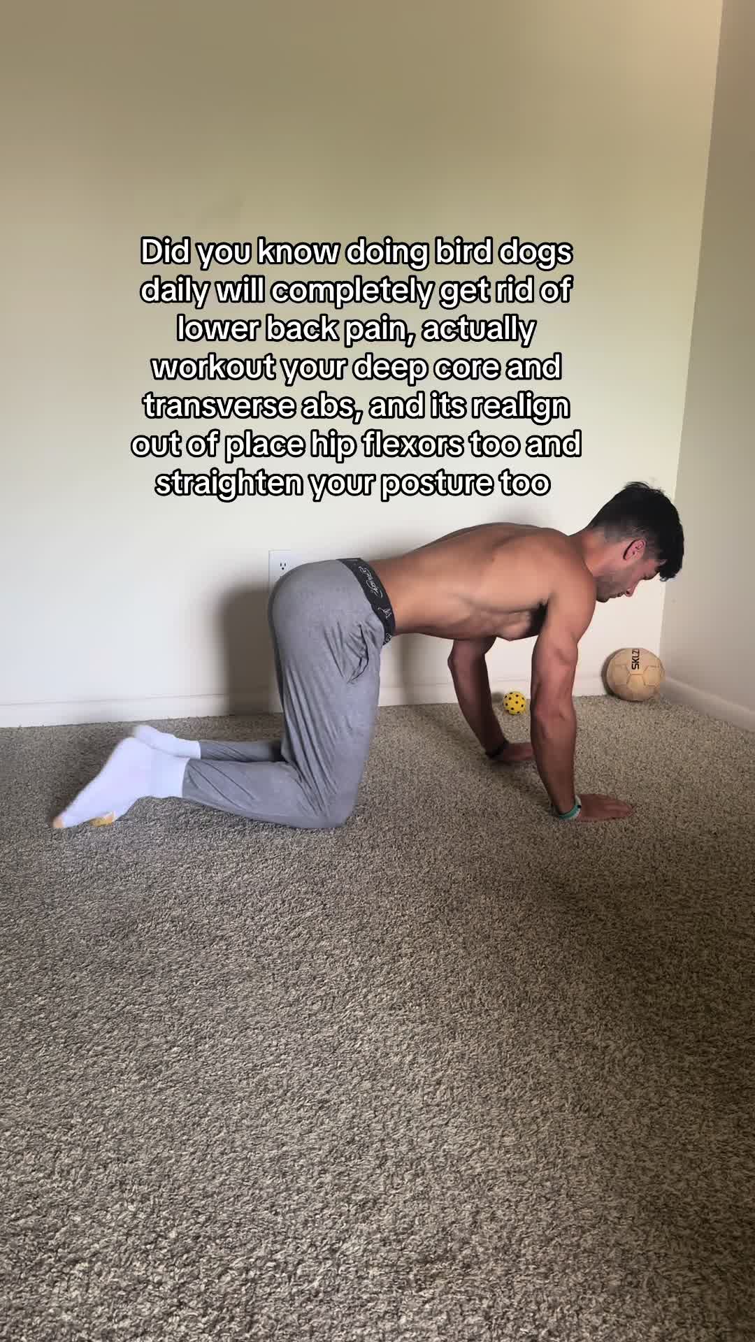 @Pete Kaso | Fitness
