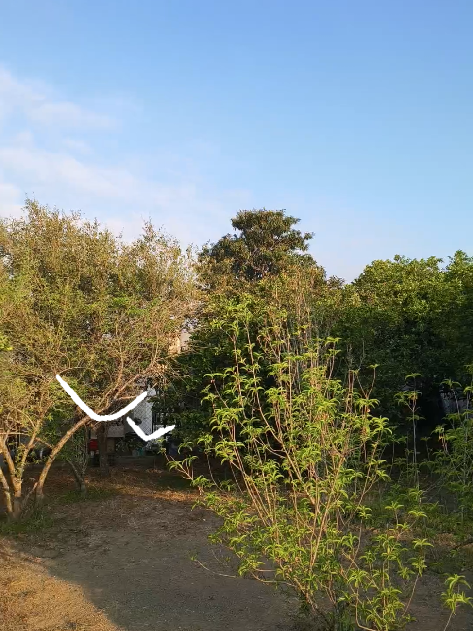 @MarioAlbertoHdzSlz