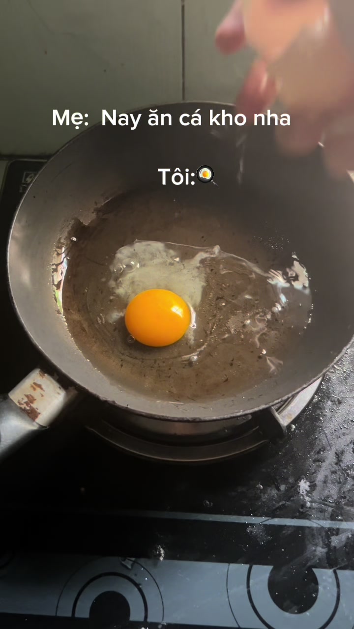 @TK Vu