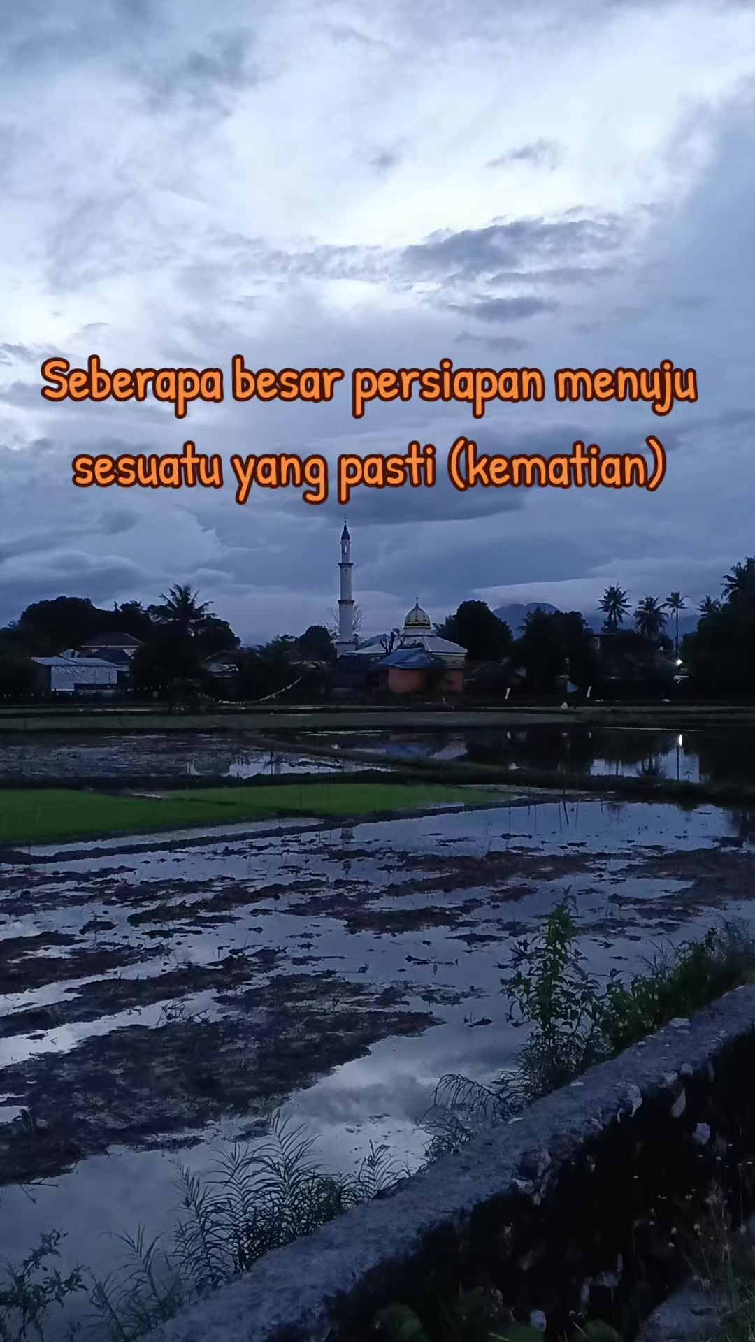 @HAMBALI