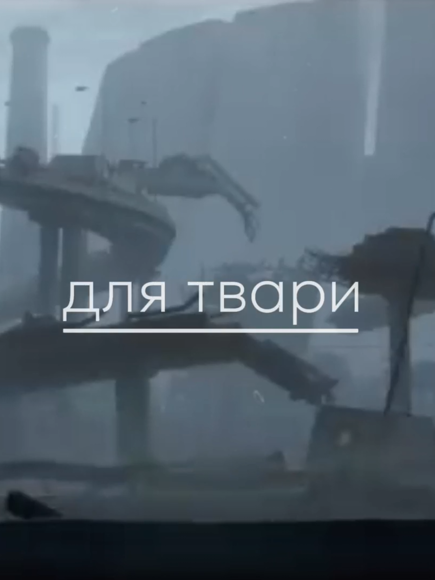 @Шот Айзавы
