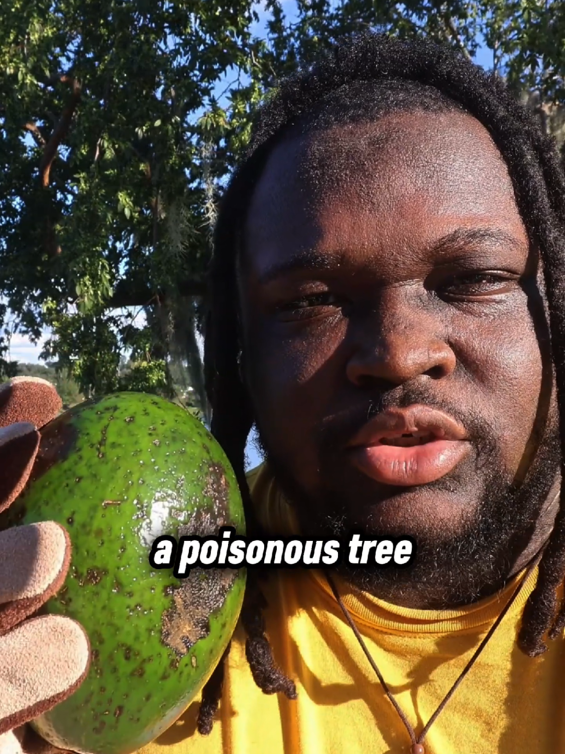 @Shawn Grows