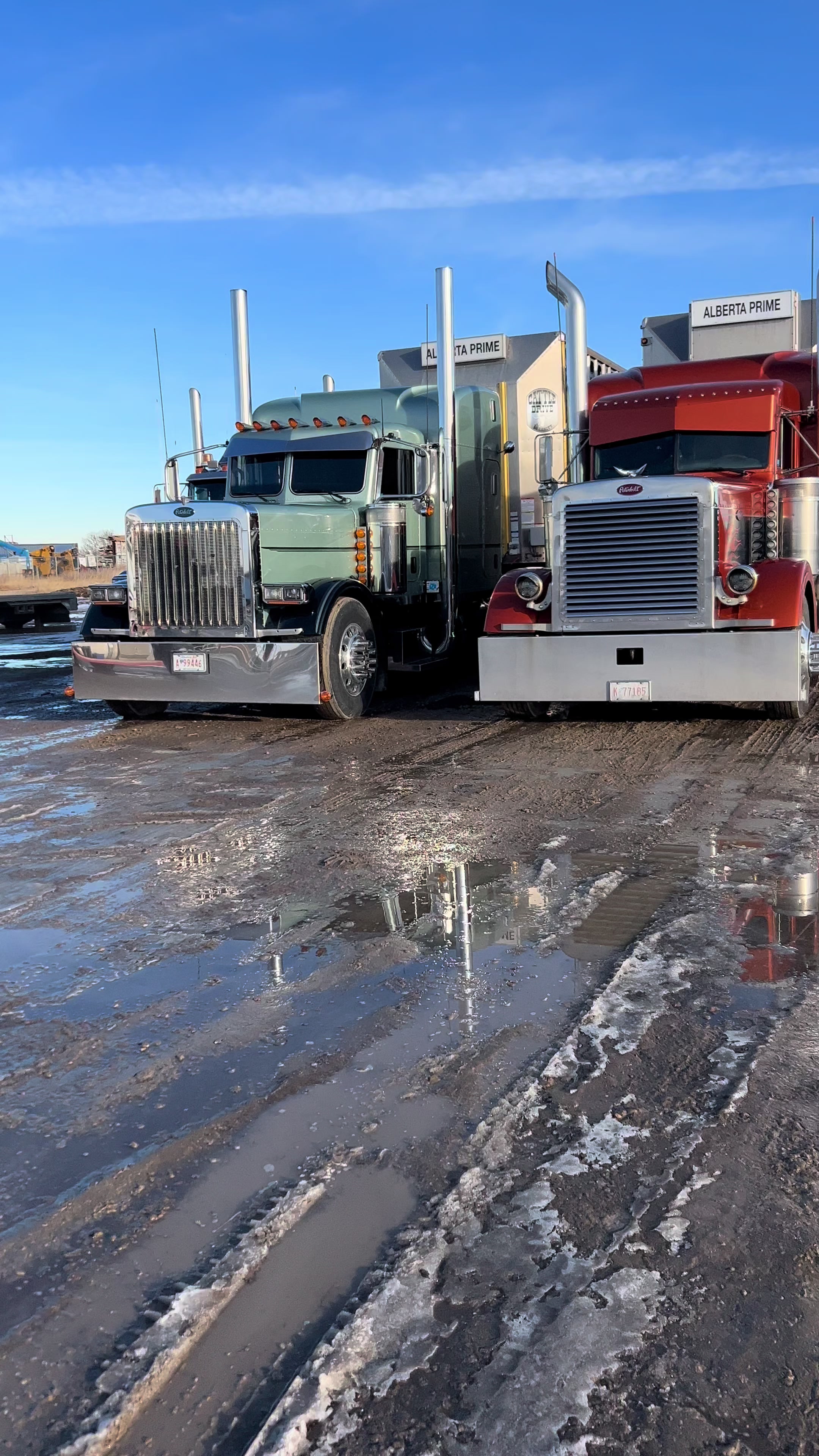 @403_BigRigs