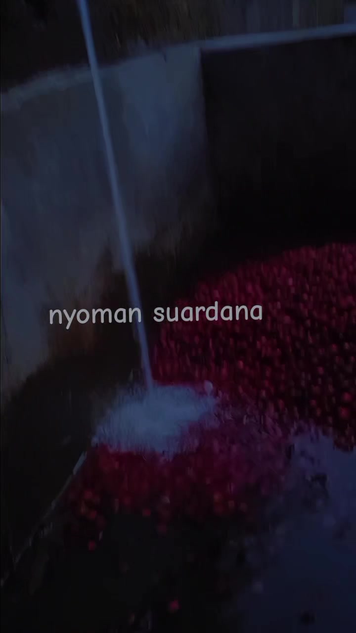 @Nyoman Suardana