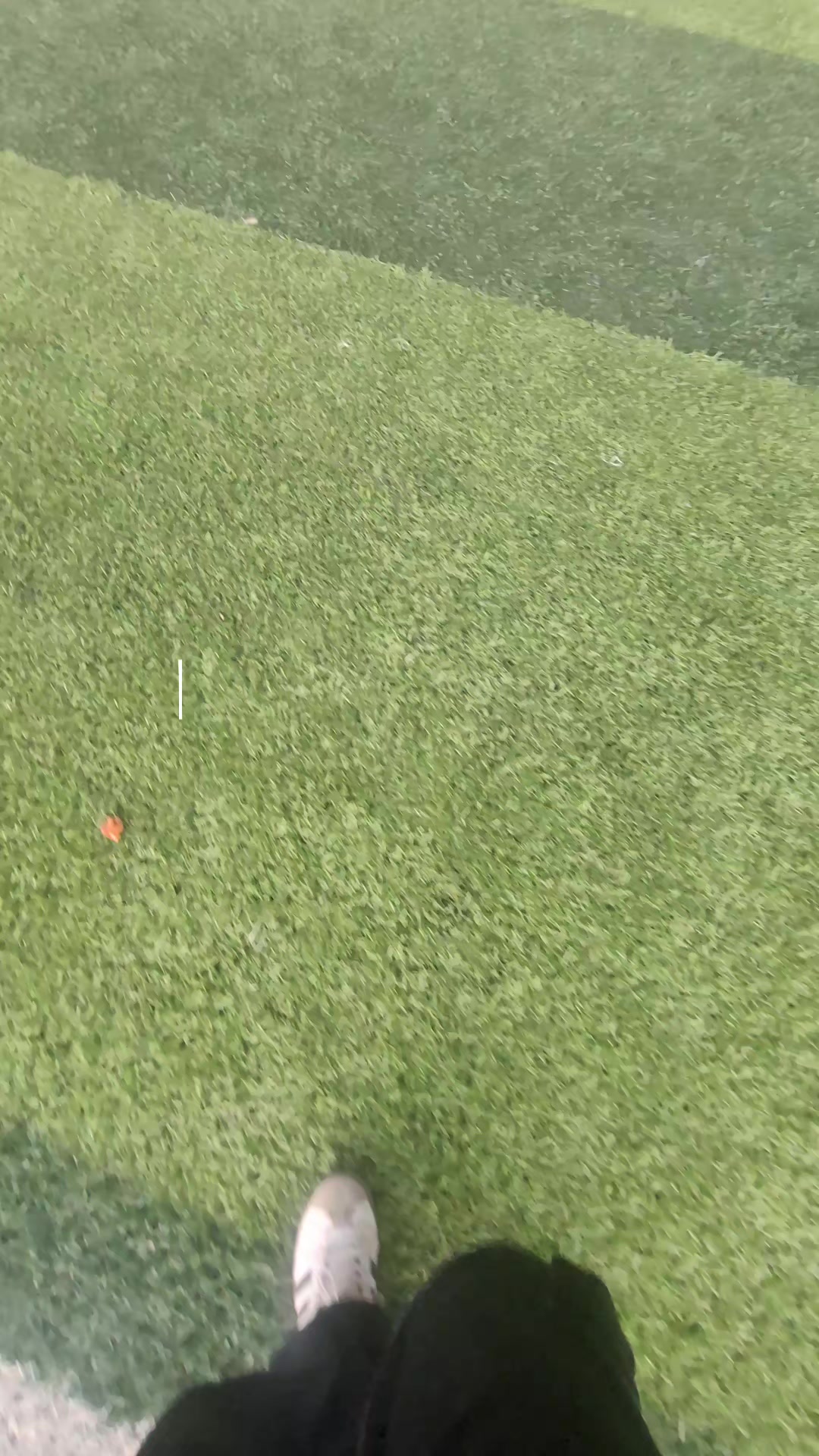 @Elvis A Chavez Ortega ♒️