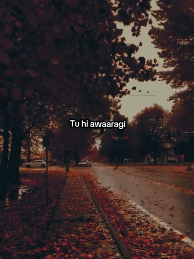 @。⋆༶⋆˙𝖁𝖎𝖇𝖊 𝖙𝖆𝖗𝖆❀.⋆。⋆༶⋆˙