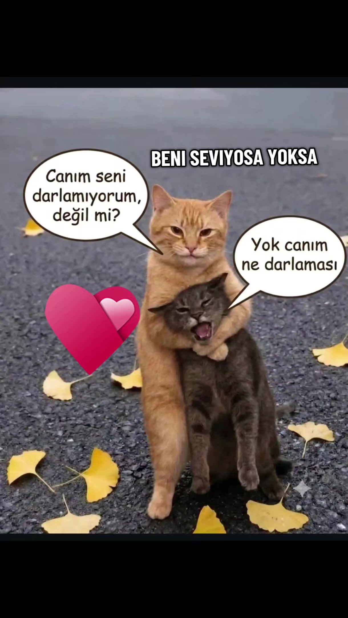 @gamzeli kızı 😊 minnoşlari