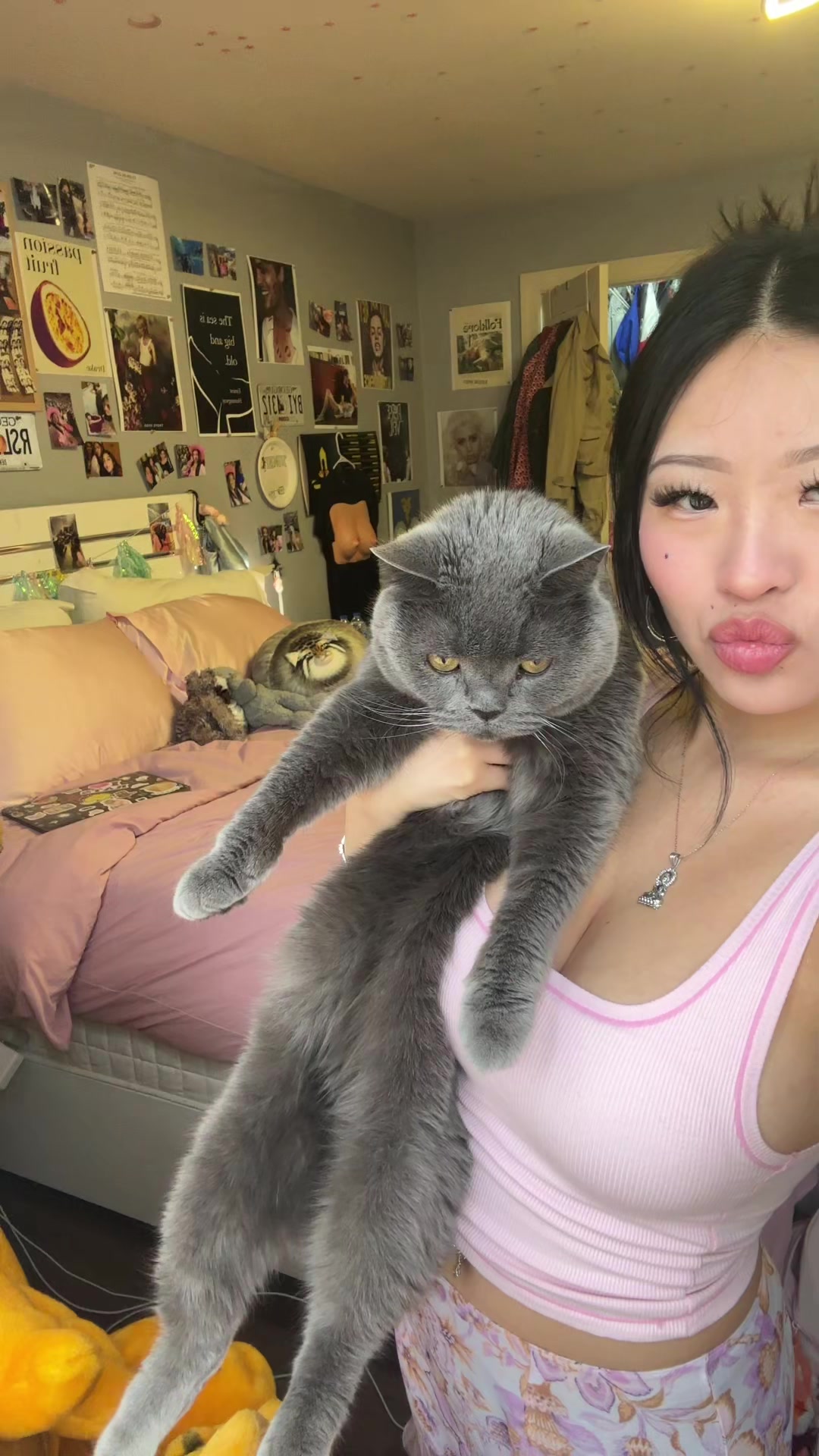@meow