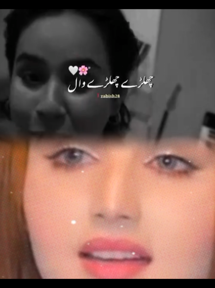 @Gill Graphy 174