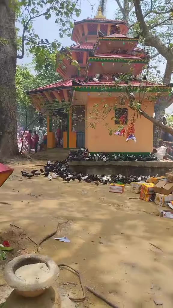@Sekhar pasman