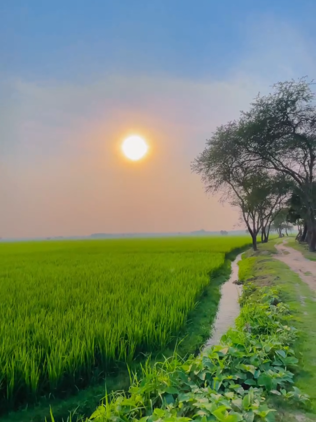 @Kamrujjaman Sojib
