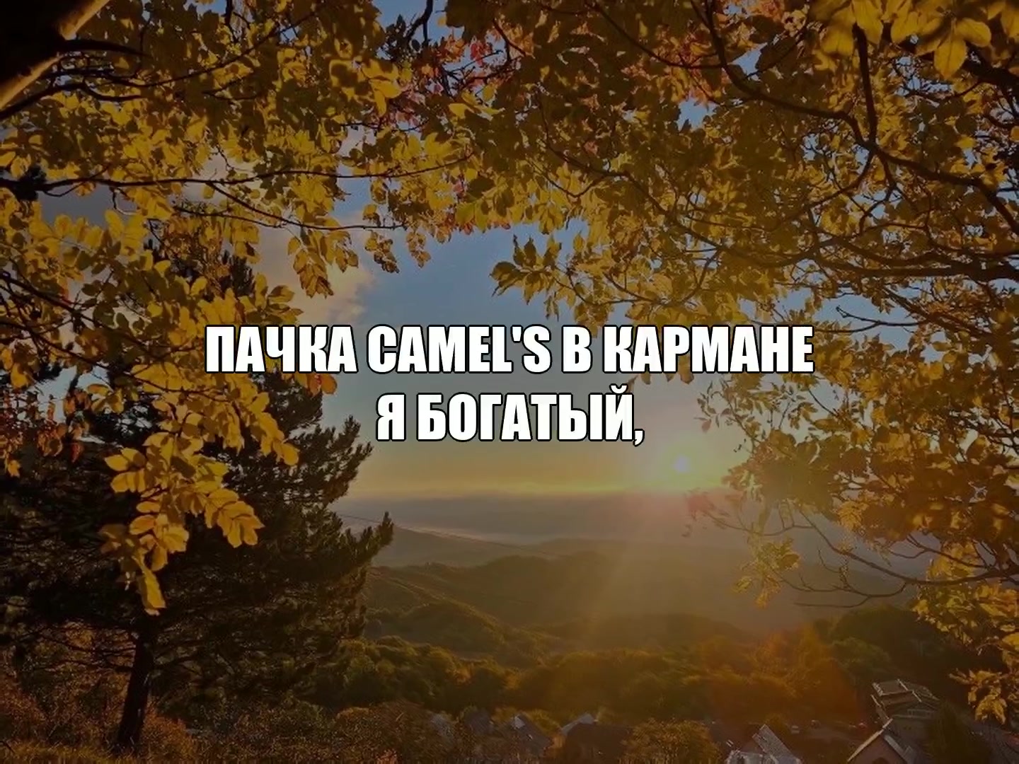 @ikraposev