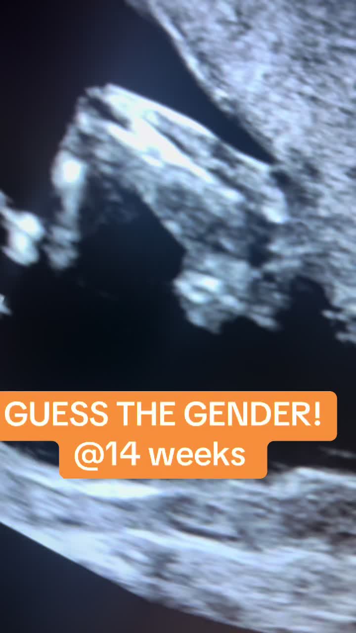 @PregnantSee Inc.