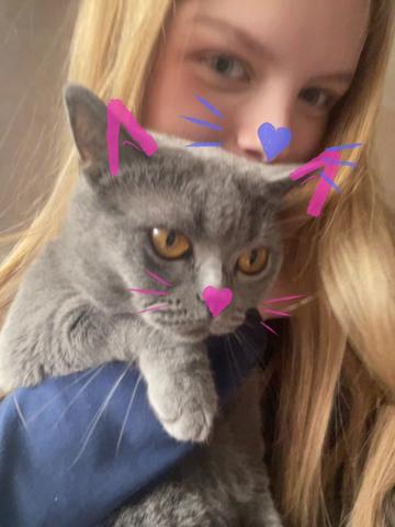 @ameliqxz