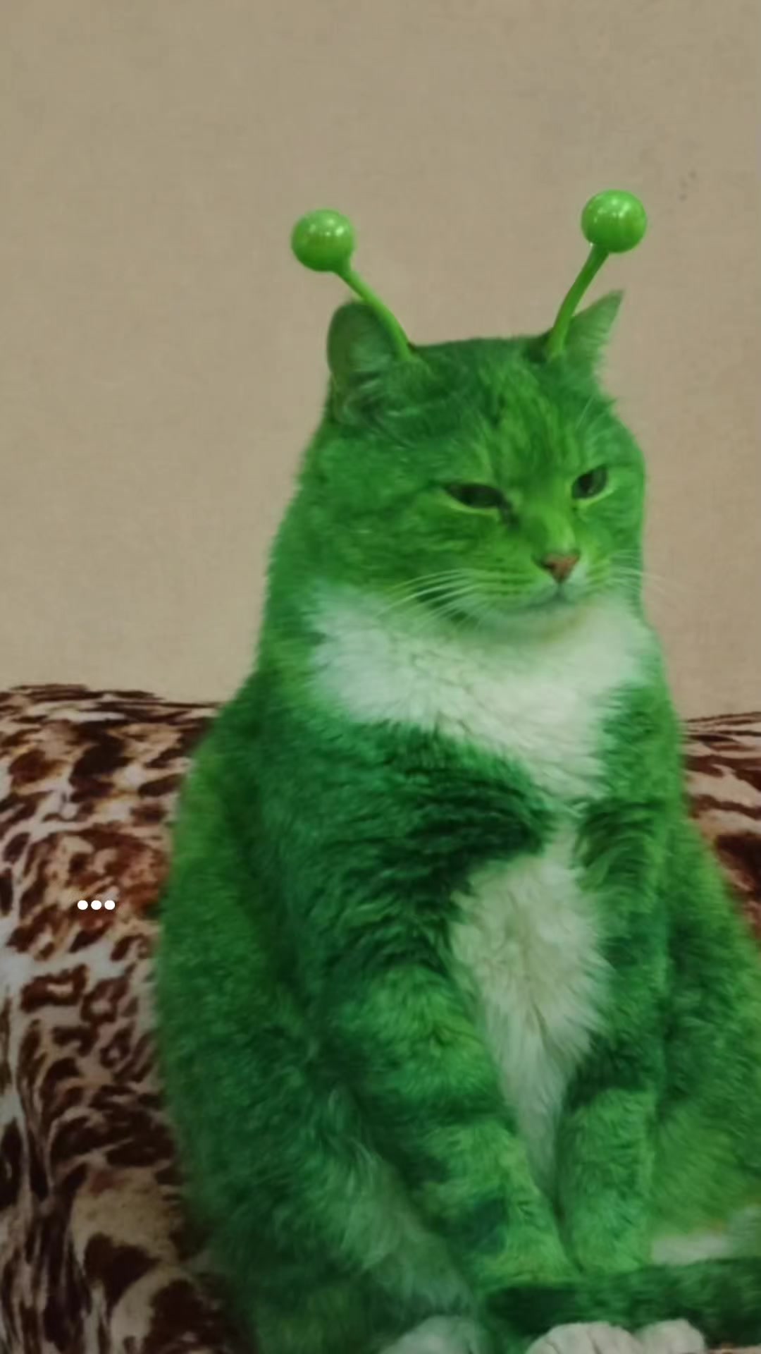 @️