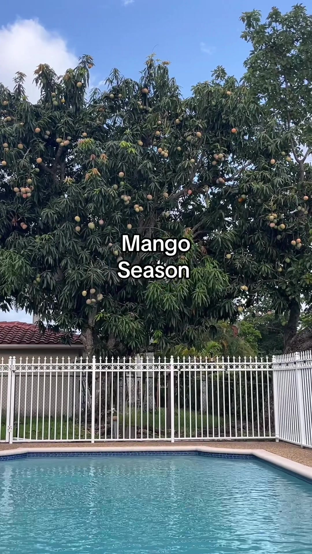 @mary_ketchup