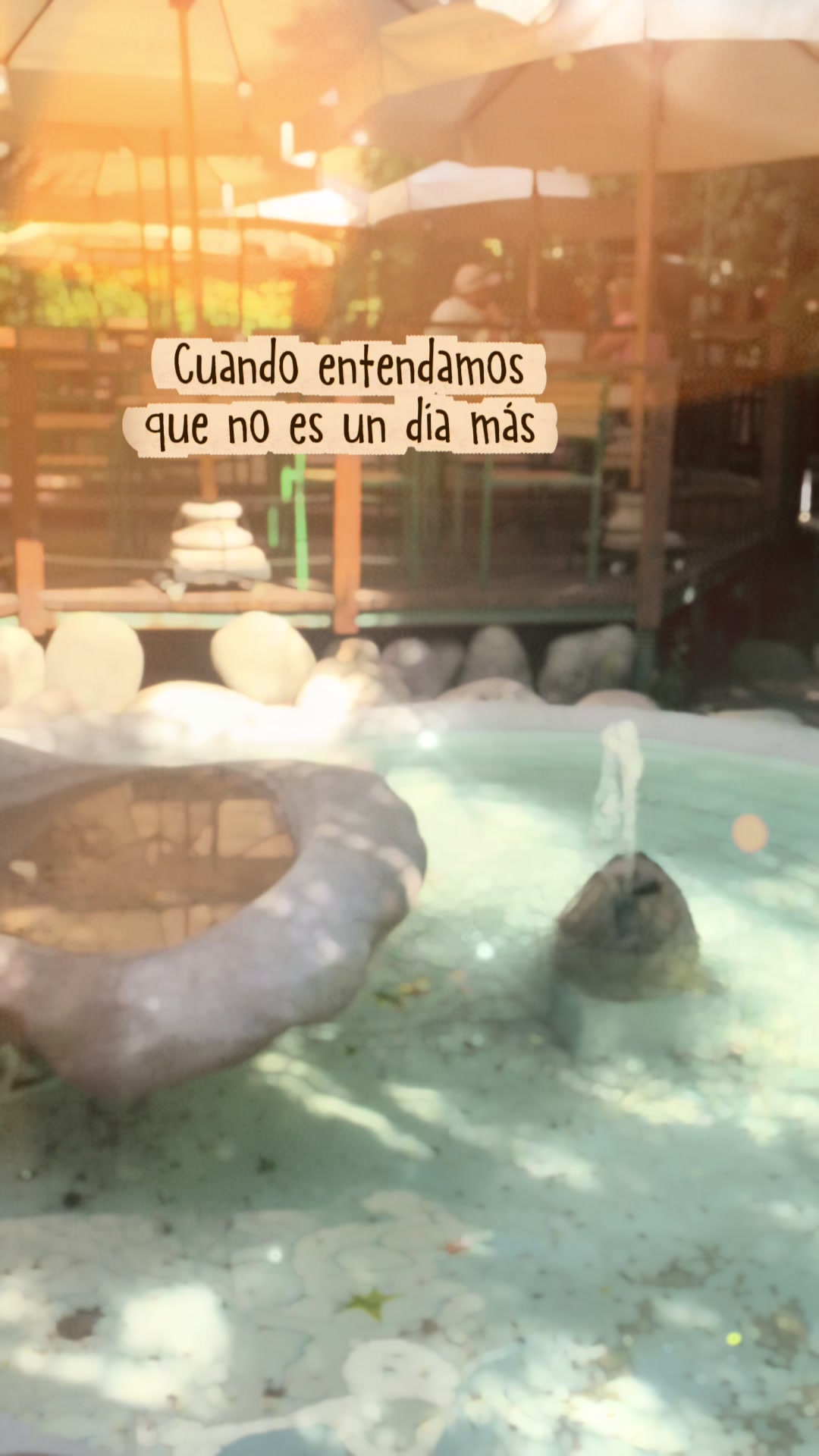 @carolinatoledoveg