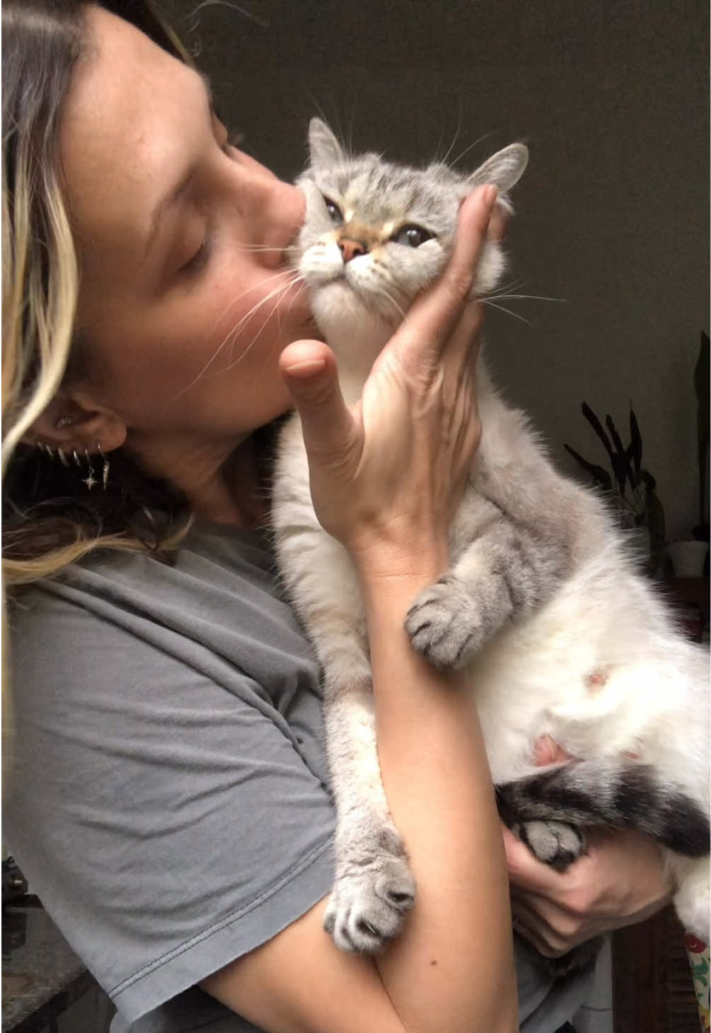 @penka_and_kittens