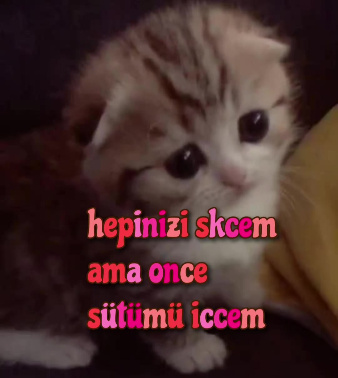 @poser_baskani4