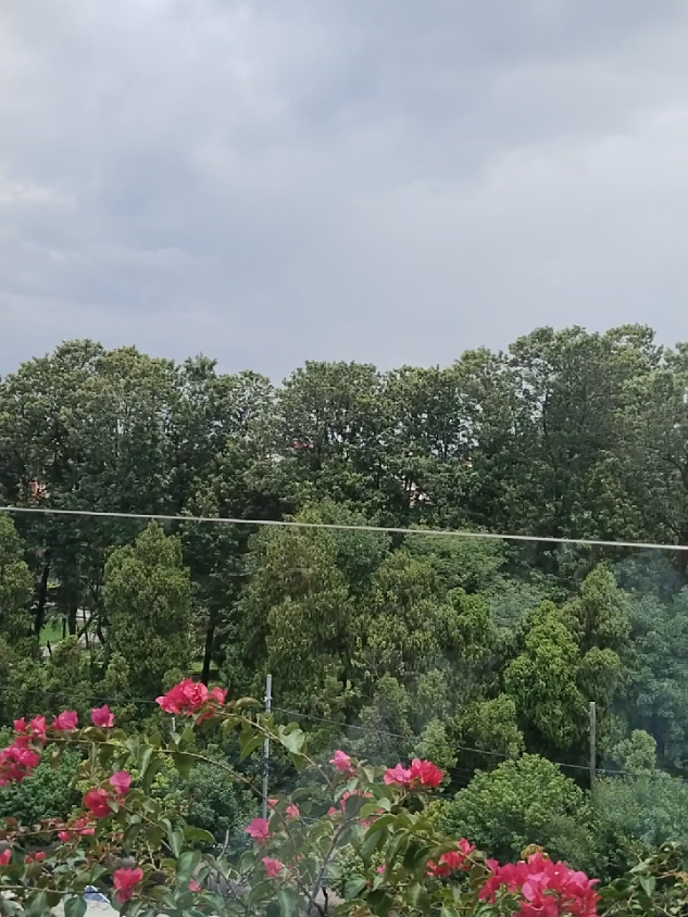 @Janu🧿