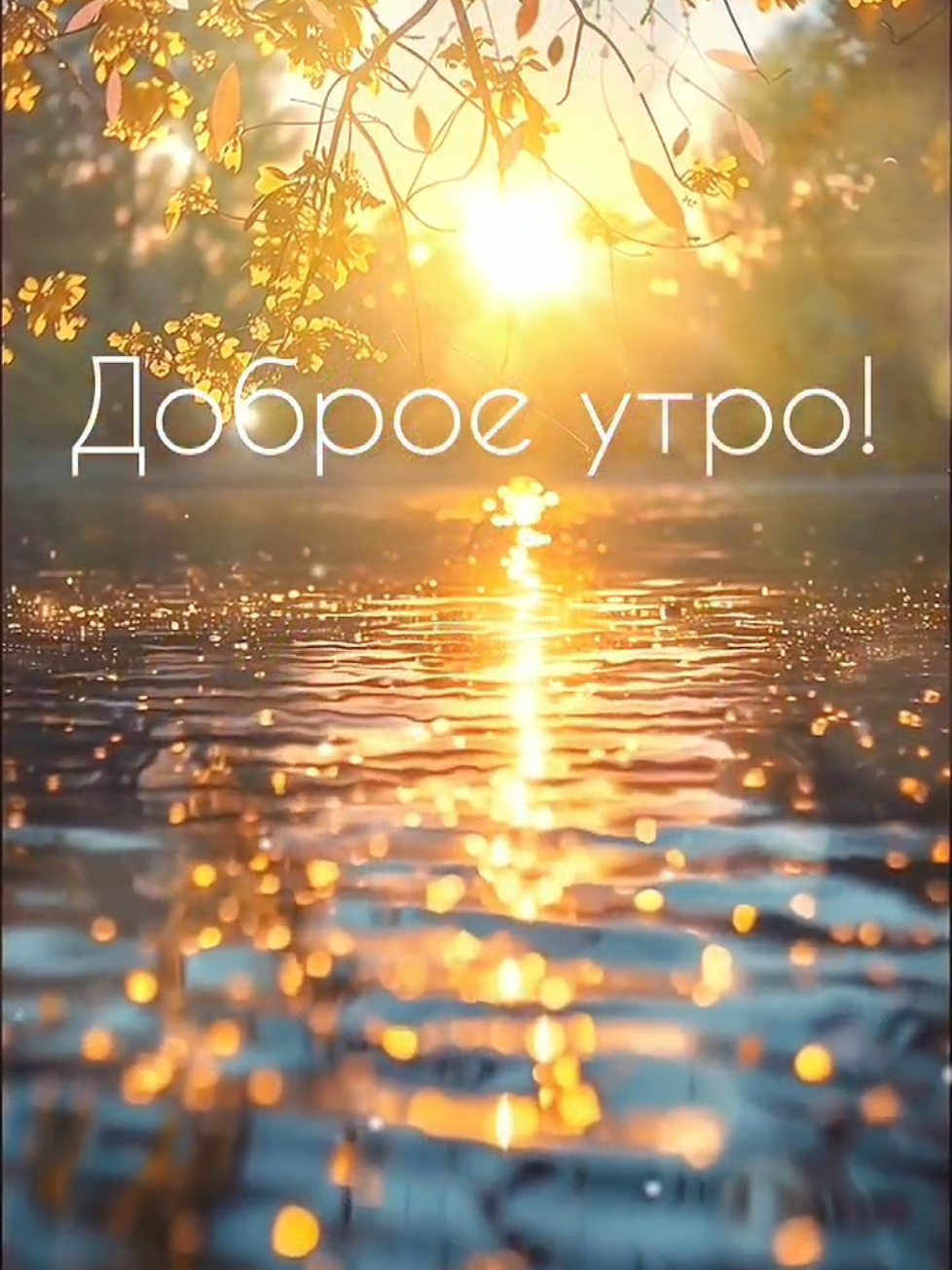 @CAPCUT - ШАБЛОНЫ - Александр