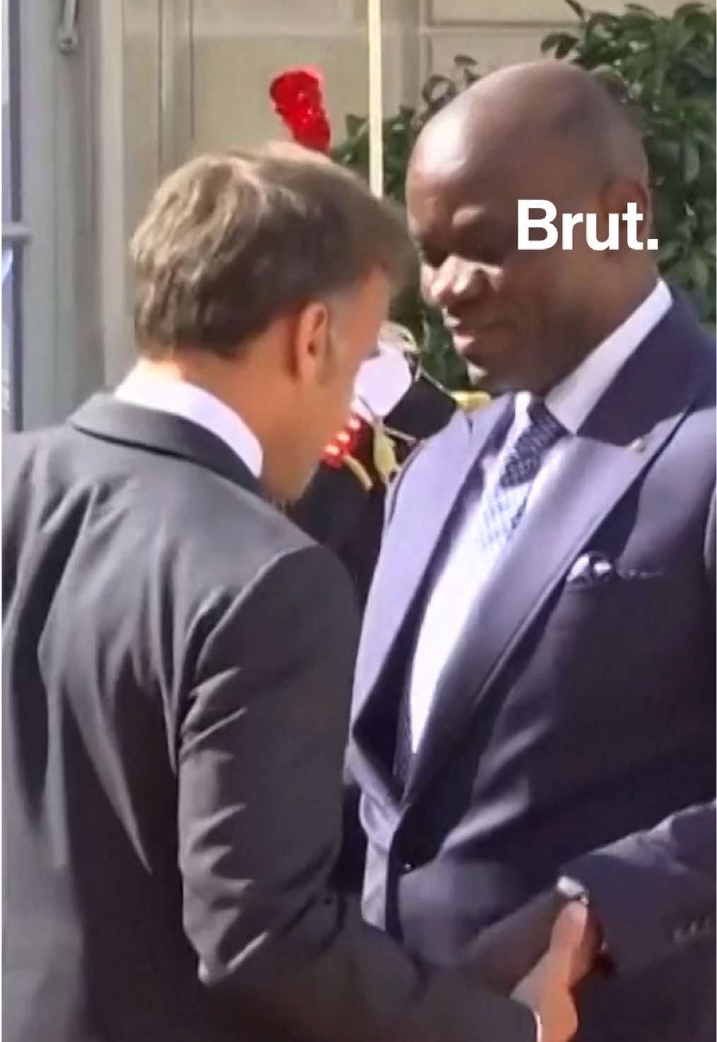 @Brut Afrique