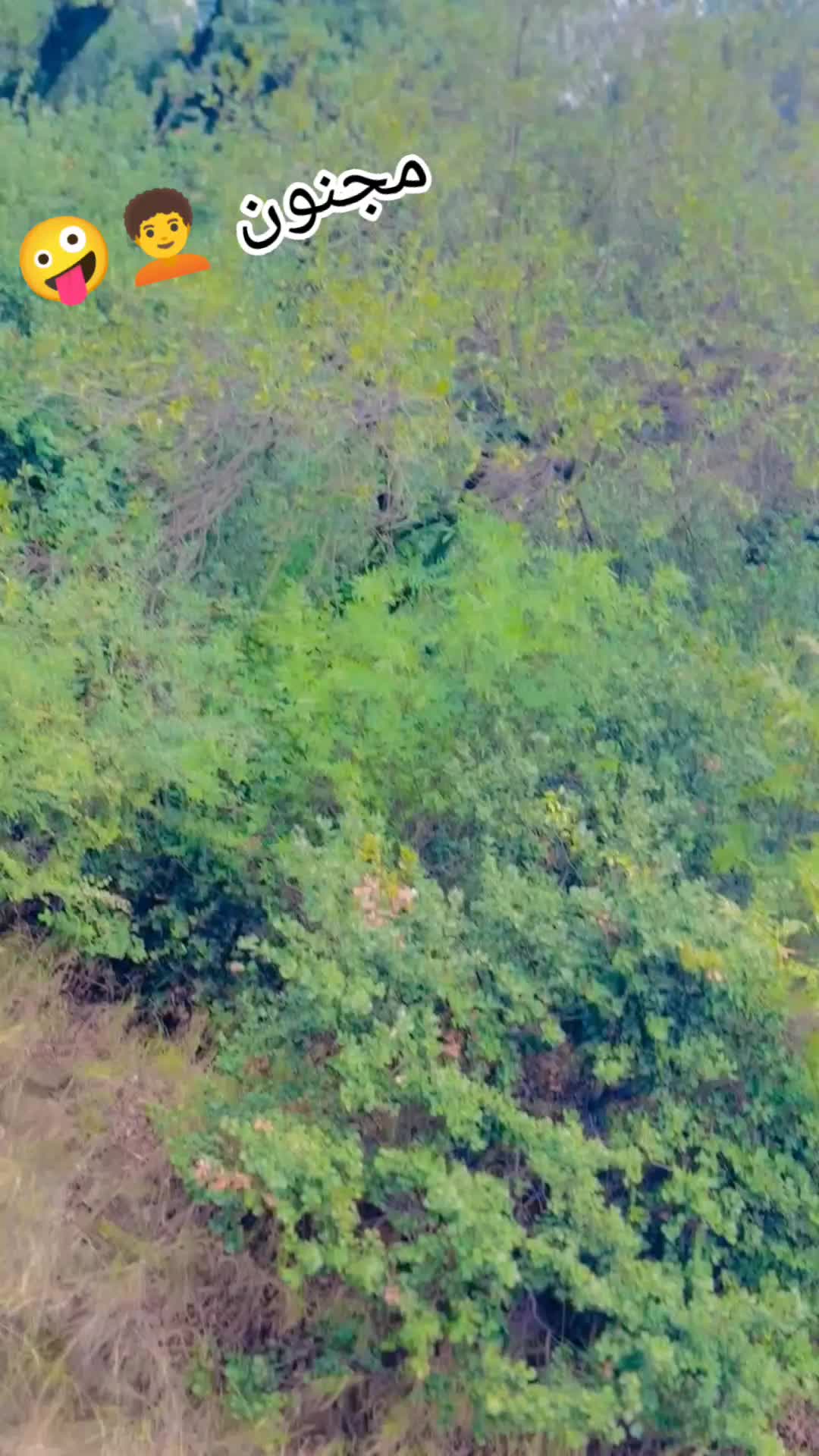 @ꨄ 🔻سرکش ☠️ ꨄ