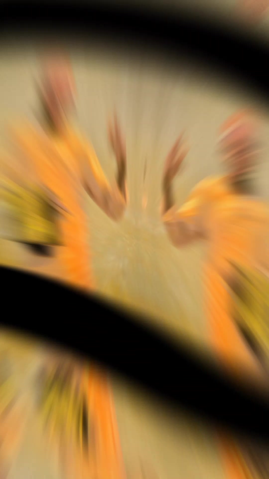 @Arnorld