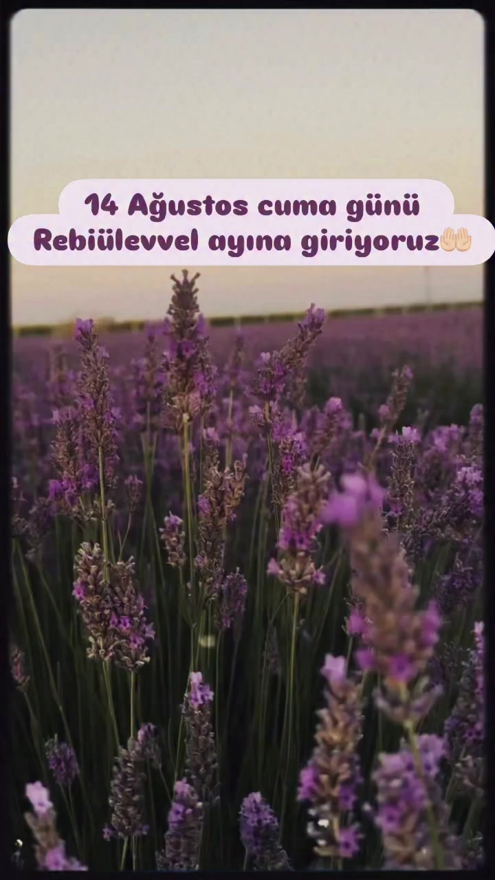 @🕸️hakan🕸️