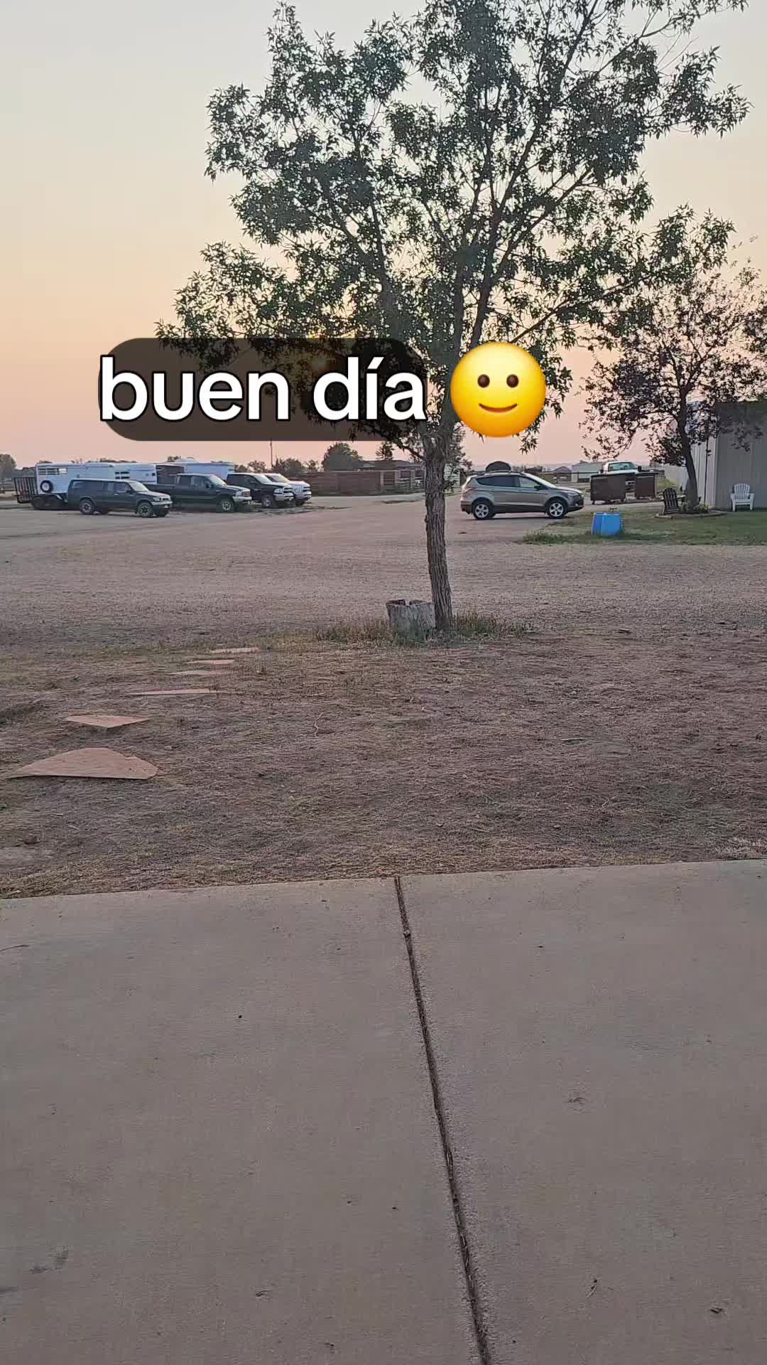 @Irma Molina