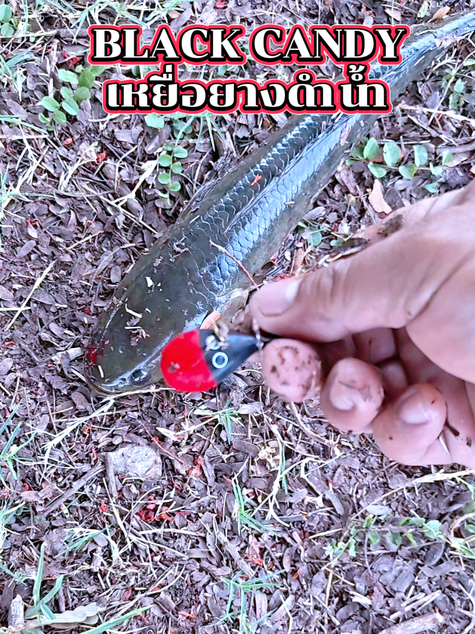 @ล่ำลือ ฟิชชิ่ง ขายทุกอย่าง🥳🎣