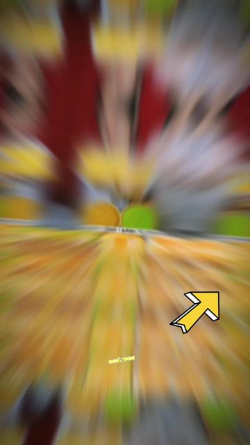 @Thu An