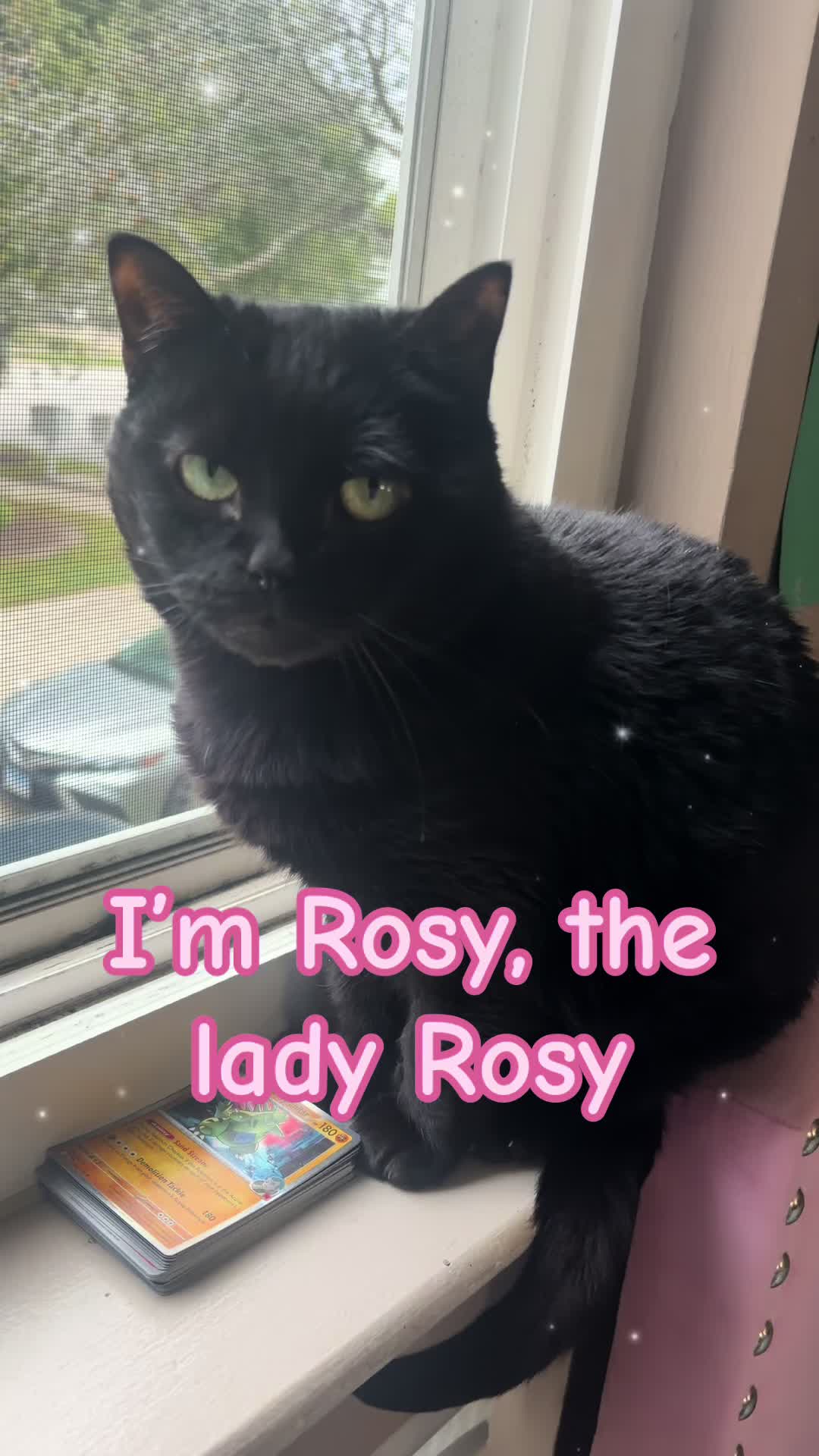 @Rosy