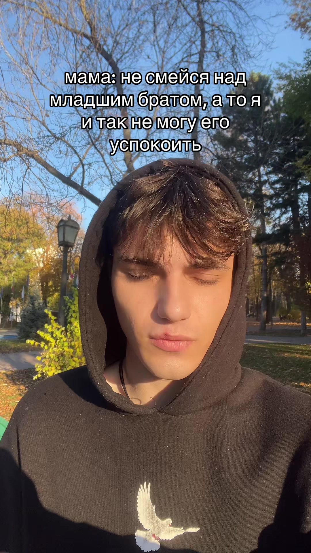 @nglxsi