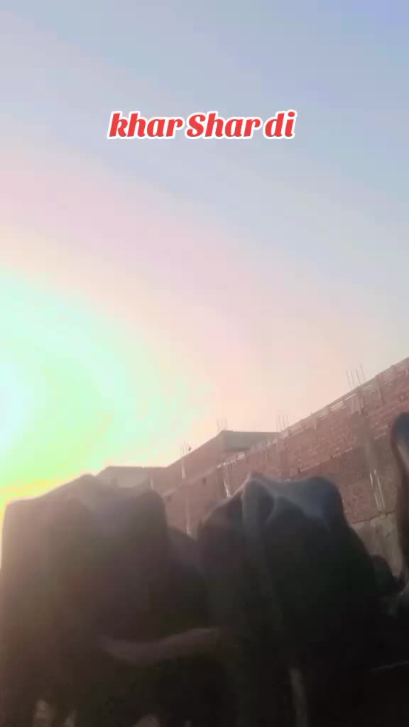 @ladlagujjar4973