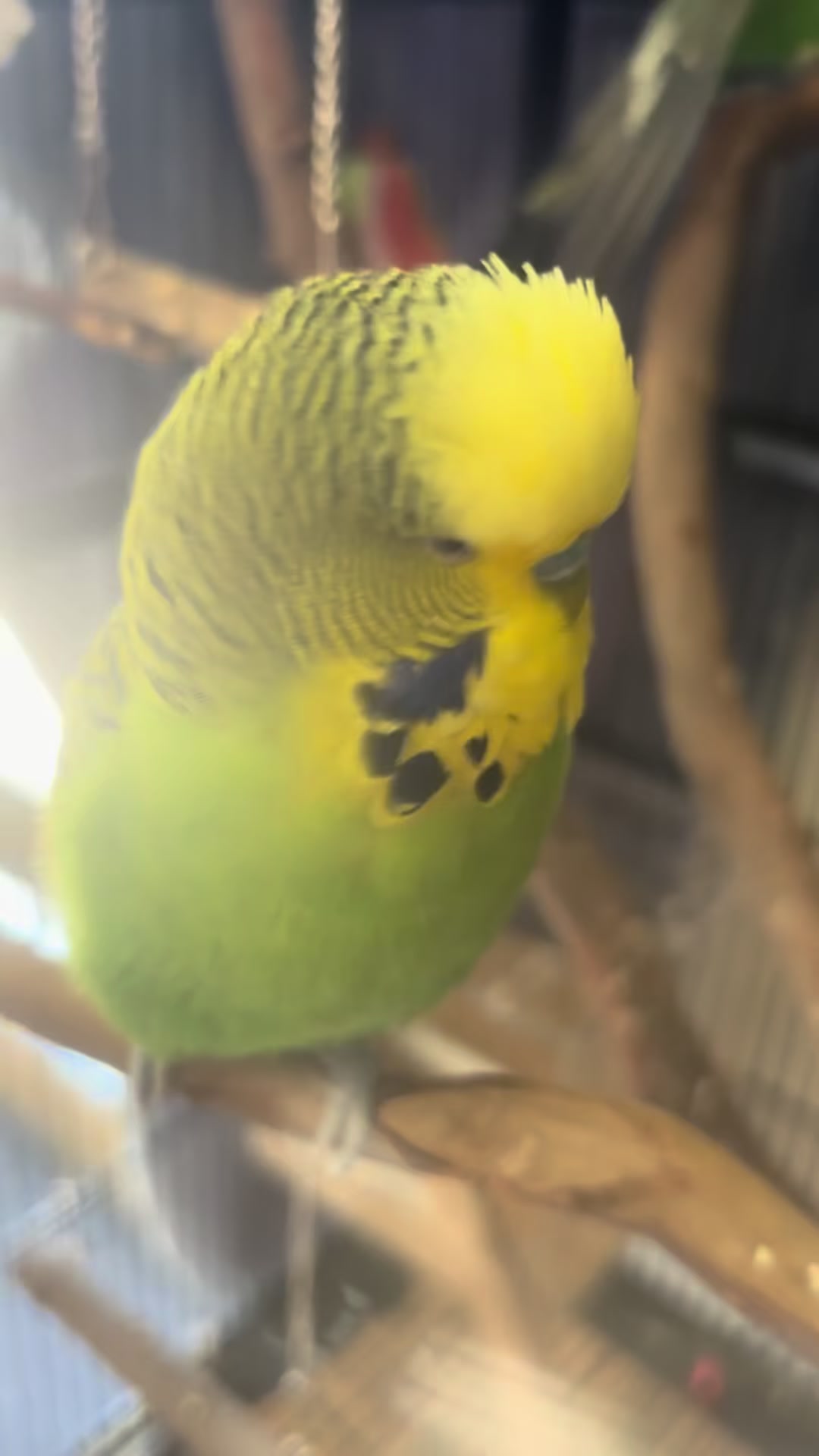 @𝓢𝓐𝓜