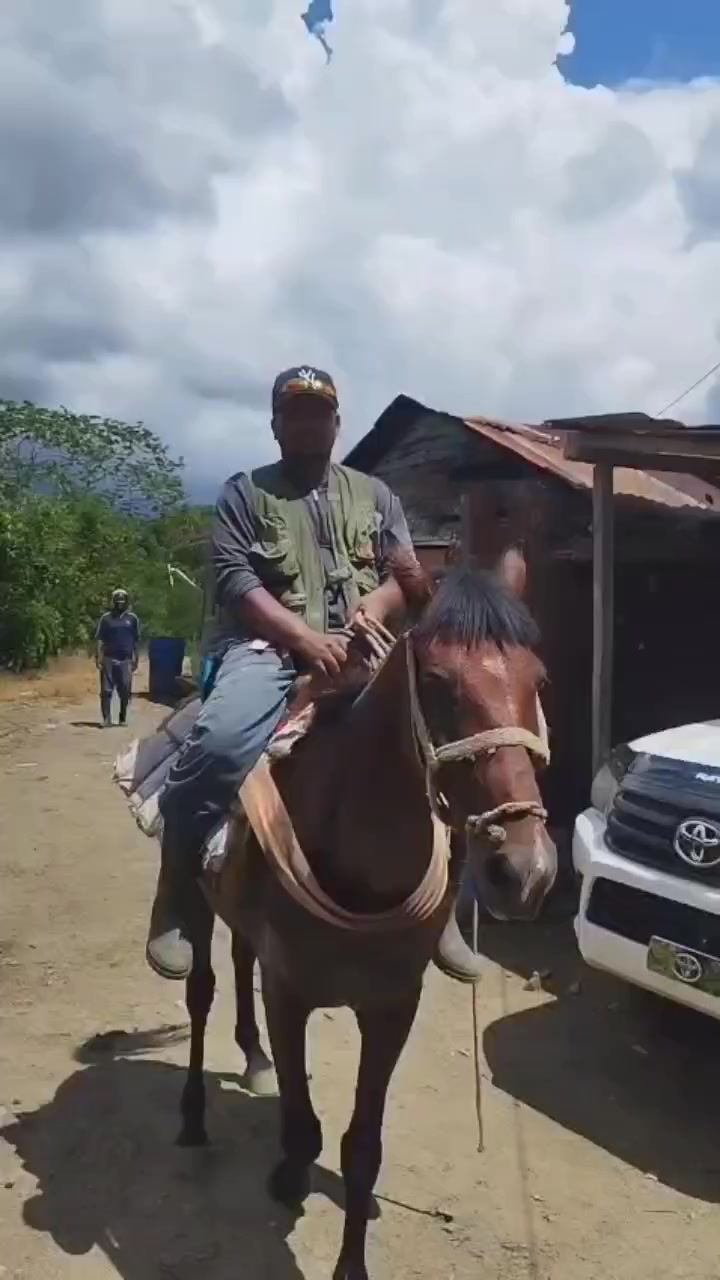 @Cítricos Ramirez 🍋