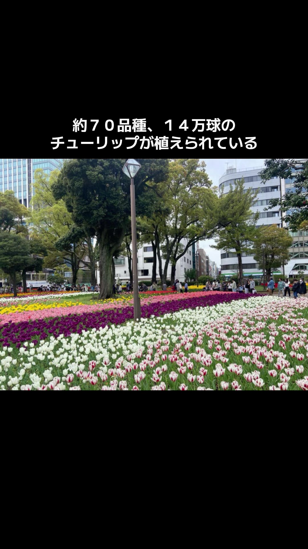 @あさこ