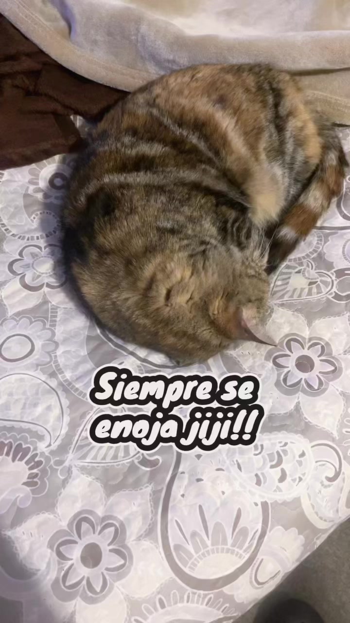 @Esthy la de siempre