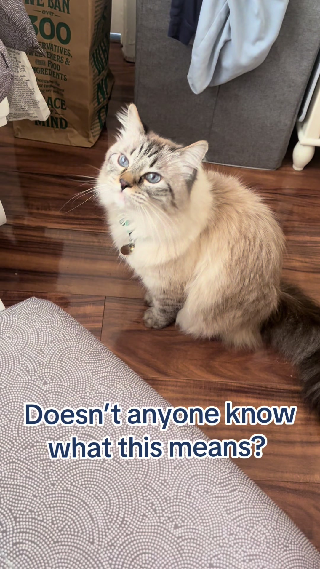@Brock Meowsnar