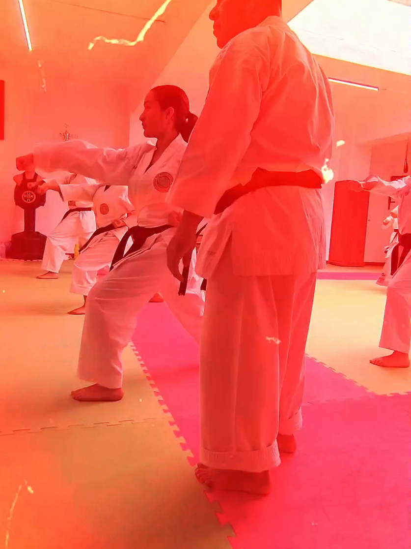 @Karate LSDG