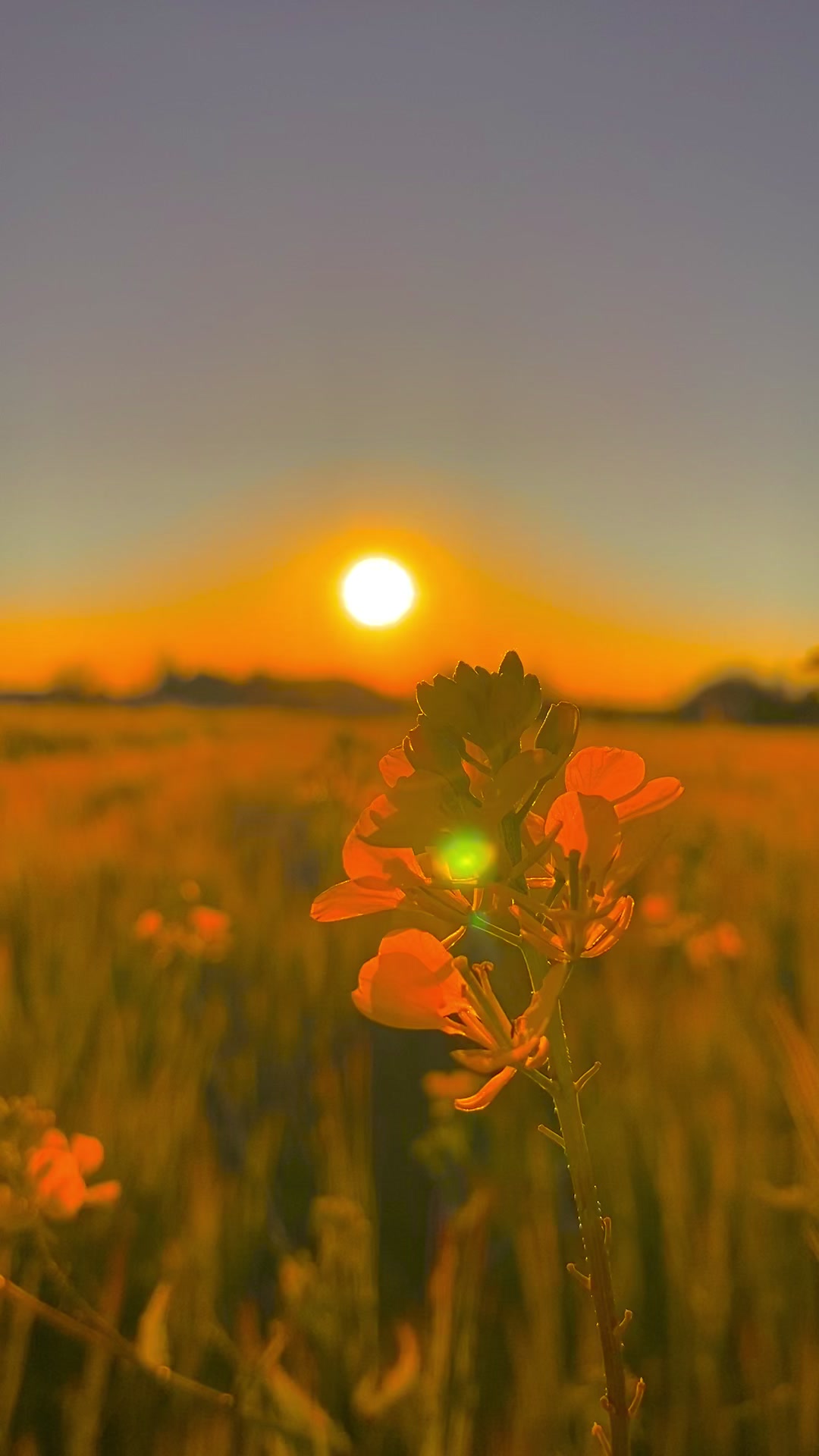 @ahmett_6334☀️